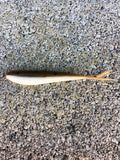 3" Savvy Shad