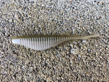 3” Ribbed Savvy Shad