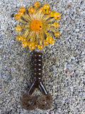 2.5” Finesse Spider