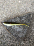 3" Savvy Shad