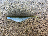 3” Ribbed Savvy Shad