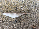 3” Ribbed Savvy Shad