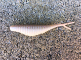 3” Ribbed Savvy Shad