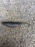 3” Ribbed Savvy Shad